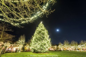 Christmas Lights Village Green 2015