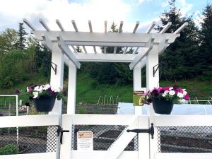 Vista Garden Upgrade 2020