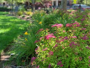 Village Green 2020 upgrade