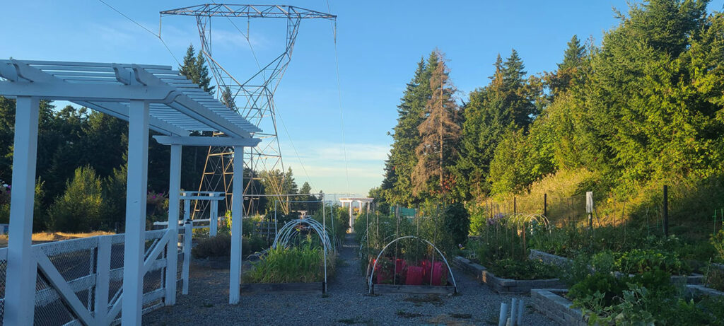 Vista Gardens Issaquah Highlands